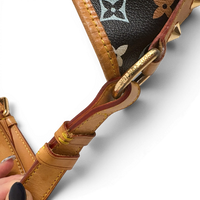 Monogram Chrissie MM in Black Multicolor